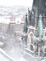 Зимові пригоди у Львові