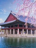 Корея. Все що ви хотіли знати, та боялись запитати