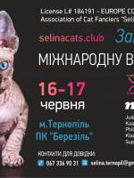 Міжнародна виставка котів - Цвіт Папороті