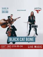 Гурт Black Cat Bone. Вечірка "Wild Rockabilly"