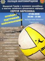 Турнір з пляжного волейболу серед команд силових структур