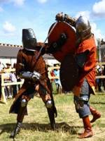 Воїни епох - Фестиваль у Шевченківському гаю