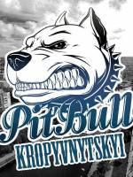 Рейд Pitbull Kropyvnytskyi