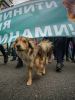 Марш за права тварин