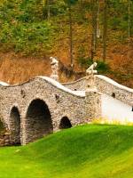 SPA-тур в Закарпатье