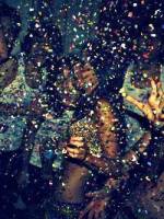 Вечеринка «Новогодняя ночь в Молодости»