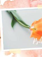 Психосоматическая напольная игра «Психосома»