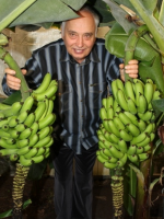 Екскурсія на бананову ферму під Києвом