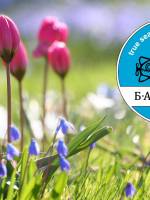 8 Березня в Батискафі