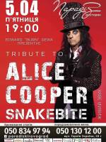 Alice Cooper Tribute Show