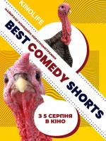 Best Comedy Shorts