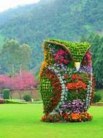 Виставка-конкурс «Квіткові композиції»