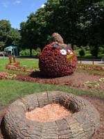 Angry Birds - Виставка квітів з нагоди Дня Києва