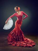 Шоу "To the rhythm of flamenco"