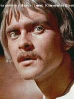 Коло Миколайчука - Фестиваль у Шевченківському гаю