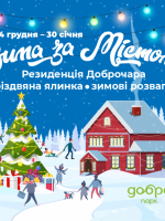 Зима за містом - Резиденція Доброчара
