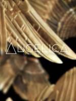 Музика ангелів. Арво Пярт - Концерт