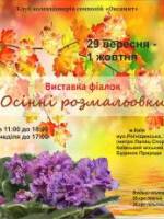 Осінні розмальовки - Виставка фіалок у Києві
