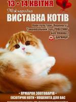 Міжнародна виставка котів у Києві