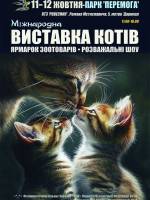Міжнародна виставка котів у Києві