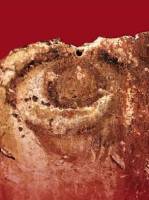 Церква Богородиці Десятинна: архітектурно-мистецький образ - Екскурсія виставкою