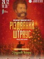 Різдвяний Штраус