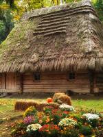 Екскурсії у Шевченківський Гай