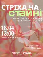 Стріха на Стайні