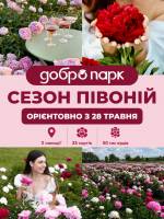Сезон півоній у Добропарку