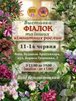 Виставка фіалок та інших кімнатних рослин