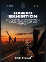 Благодійна фотовиставка Hawks Exhibition