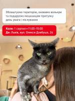 Благодійна толока у Львові