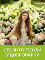 Сезон гортензій у Добропарку