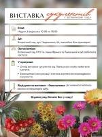 Виставка сукулентів у Ботанічному саду