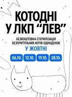 Котодні у ЛКП Лев - Безкоштовна стерилізація безпритульних котів