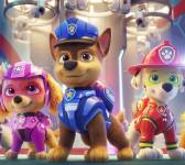 Рятівники Нового року - Щенячий патруль