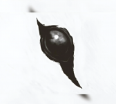 Вистава "Я бачу, вас цікавить пітьма"