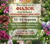 Виставка фіалок та інших кімнатних рослин