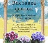 Виставка фіалок у Києві
