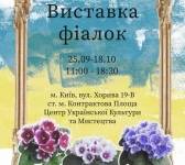 Виставка фіалок у Києві
