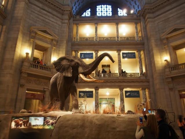 4d89e24b-6898-4652-85e4-8bca4edaf98c