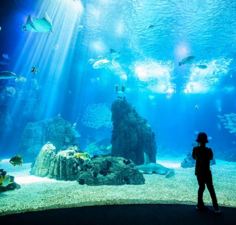 oceanarium koobrzeg