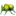 🪲